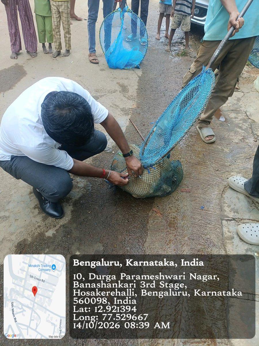 Dr. Venkatesh K.M., Chief Veterinary Officer (Zone 1), Bengaluru West City Corporation, monitored the Mass Dog Vaccination (MDV) drive (PK - 4) across Rajarajeshwarinagar division limits today. 🐕💉 @kr