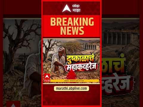 Ahilyanagar Dushkal : अहिल्यानगर - पाण्याअभावी ६५ एकरांतील हजारो फळझाडं धोक्यात