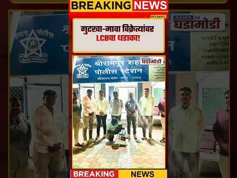 Ahilyanagar News | गुटखा-मावा विक्रेत्यांवर LCBचा धडाका! #shorts