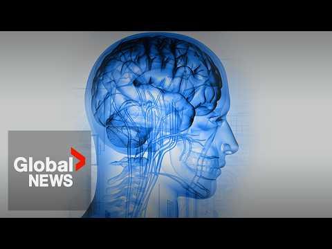 Optogenetics: 3 researchers win Nobel Prize in medicine for brain research