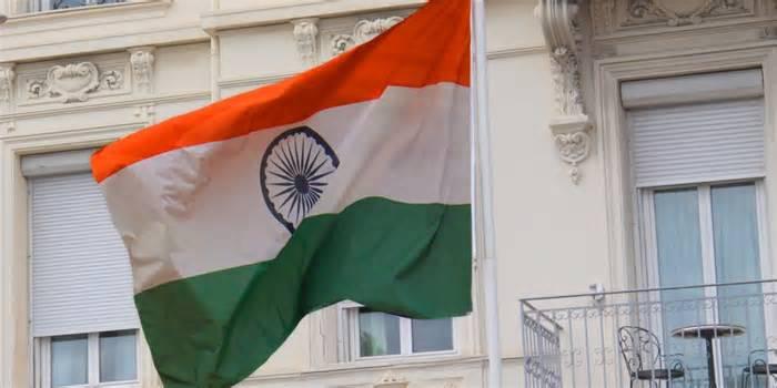Indian cockroach movement leader freed after Delhi arrest