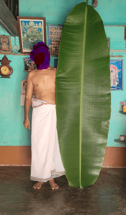 In Bengaluru, it would cost about INR 50, even more around Malleswaram 'coz nobody in Bengaluru has seen a banana leal tall, wide & big as these.... Impressive.