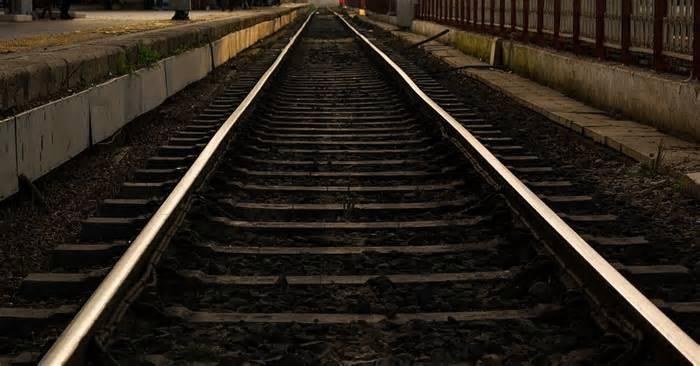 Man on tracks disrupts Bengaluru Metro’s Purple Line services