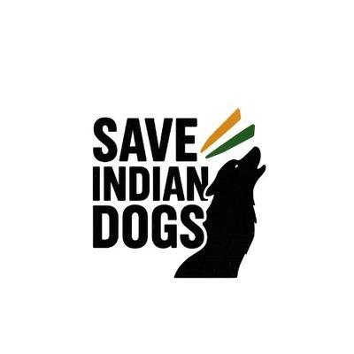 A disturbing Pune social-media post allegedly shows a cracker tied around a dog's neck before exploding. Authorities must verify the video and investigate. @raghav_chadha @tehseenp #BanFirecrackersInI
