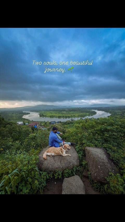 Some bonds go beyond words. ❤️🐾 At Rajgad Fort, Jidhnesh’s pet dog stayed close as people struggled to help him after he collapsed. A silent, expression of love & loyalty. A resid