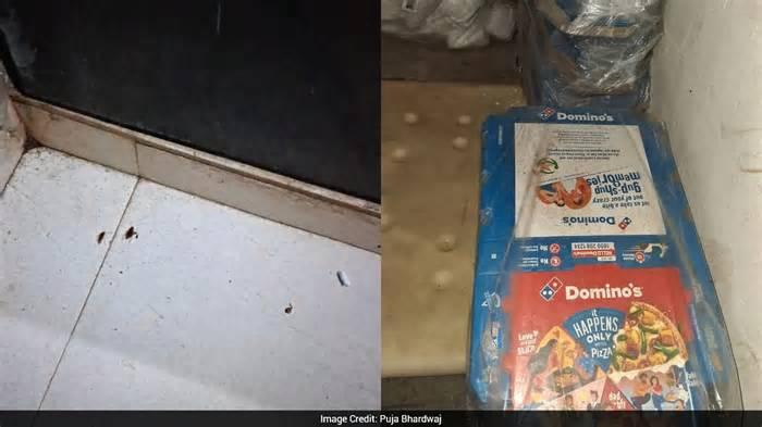 Rats, Cockroaches, Spoiled Food: 3 Domino's Outlets Lose Licences In Mumbai