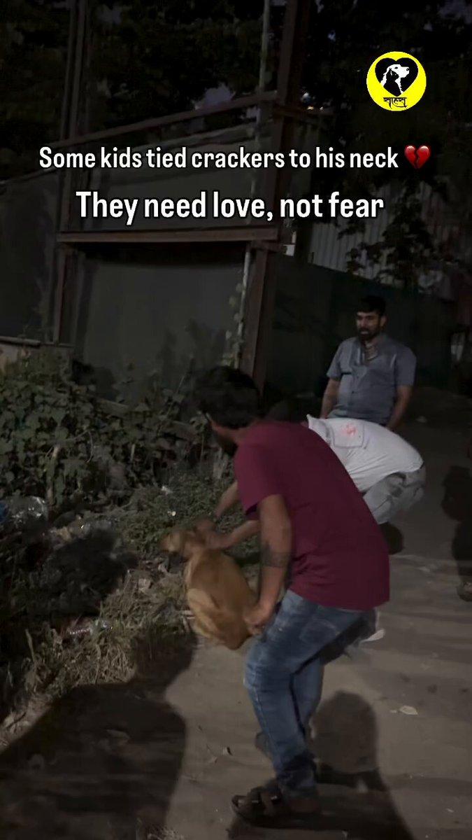 RT by @Ashipr1: #Pune International Horror Firecracker Bursted by Humans on Dogs Neck, it Bursted last Diwali 2025 in #India Menace of Stray Humans Bursted banned Deadly Dangerous Sutli Bomb on Dogs N