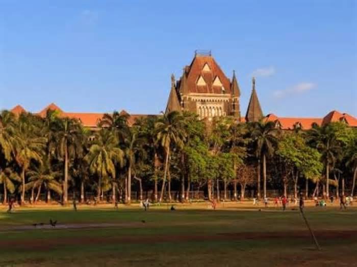 Mumbai Protest Detentions: Bombay High Court Refuses Blanket Order for Release for Detainees