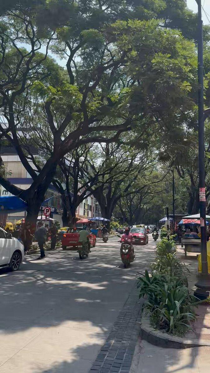 Gandhi Bazaar used to mean elbowing past vendors, bikes and buses on a broken road. Today: wide footpaths, planters, heritage lamps, vendors in their own lane, all under a canopy of century-old trees.
