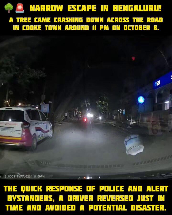 🌳🚨 **NARROW ESCAPE IN BENGALURU!** A tree came crashing down across the road in Cooke Town around 11 PM on October 8. 📍 Cooke Town, Bengaluru