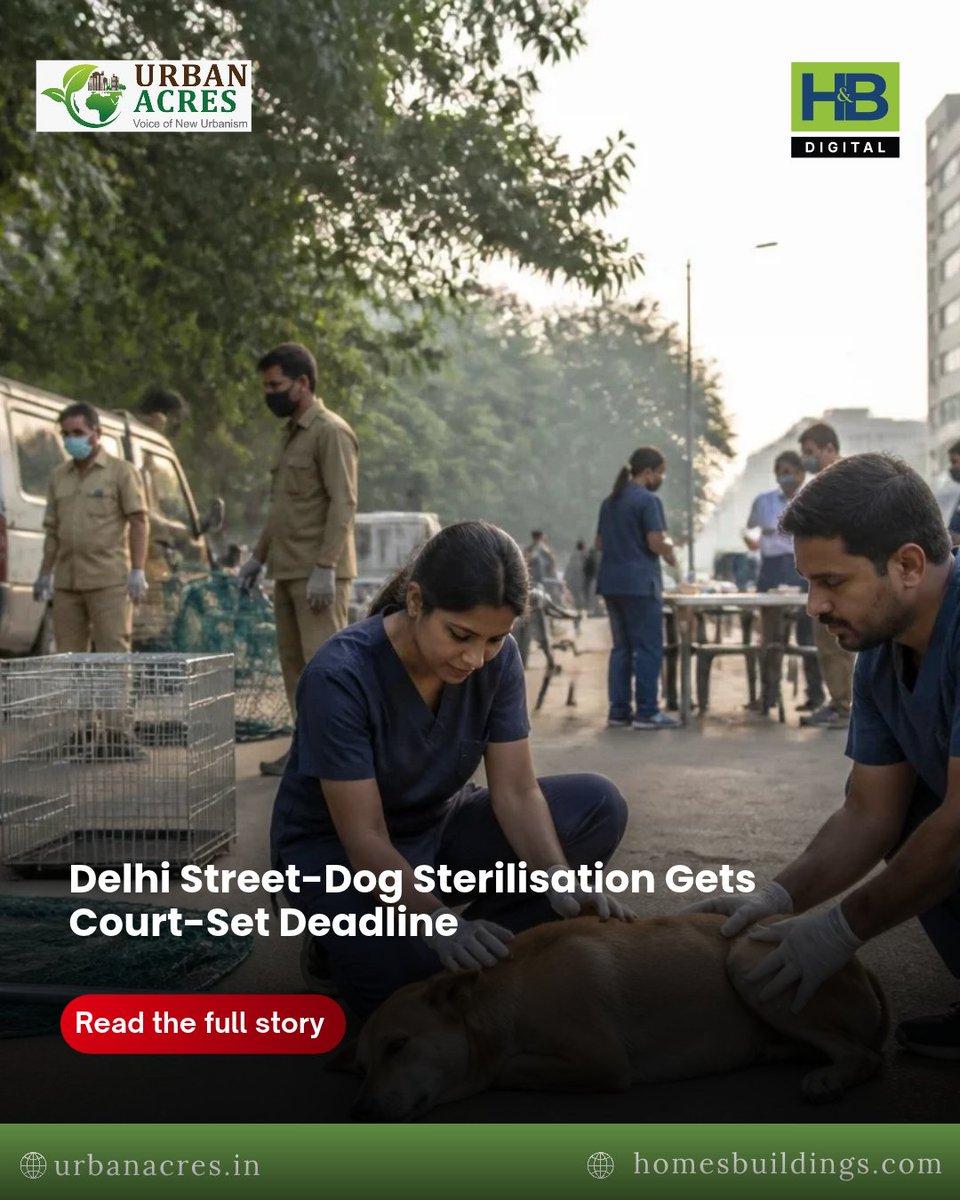 The Delhi High Court has directed the MCD and NDMC to accelerate street-dog sterilisation camps and train veterinary, para-veterinary and dog-catching staff with the Lucknow Municipal Corporation. Rea