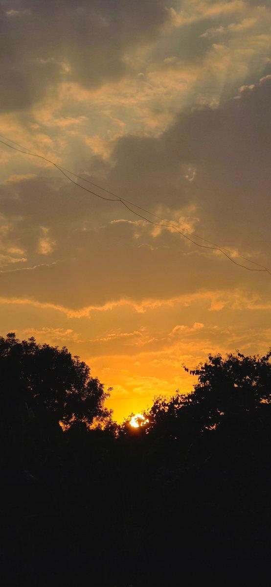 sky this evening