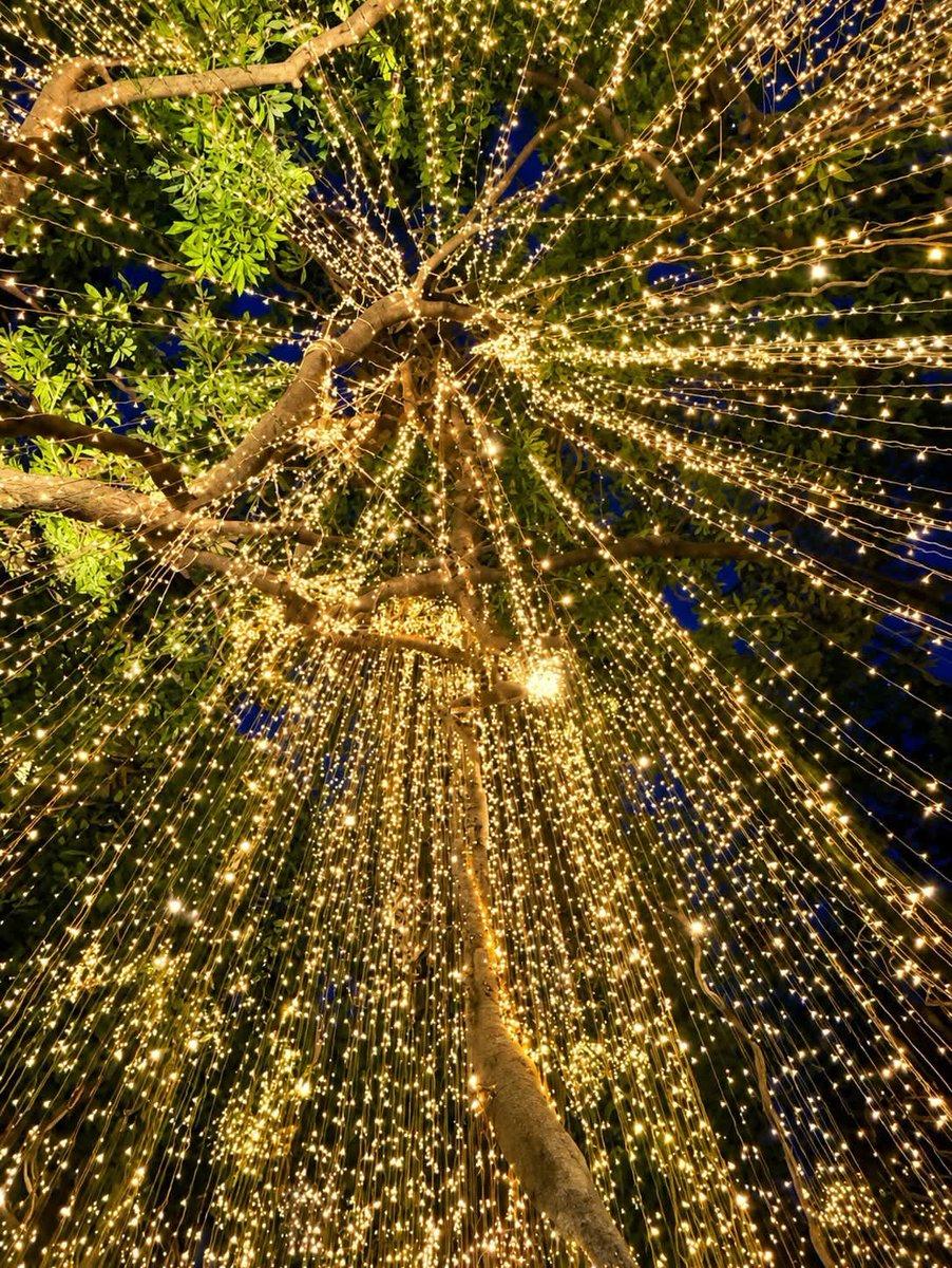 India goes Festive mode, when Bengal decor up. @BJP4Bengal @SuvenduWB
