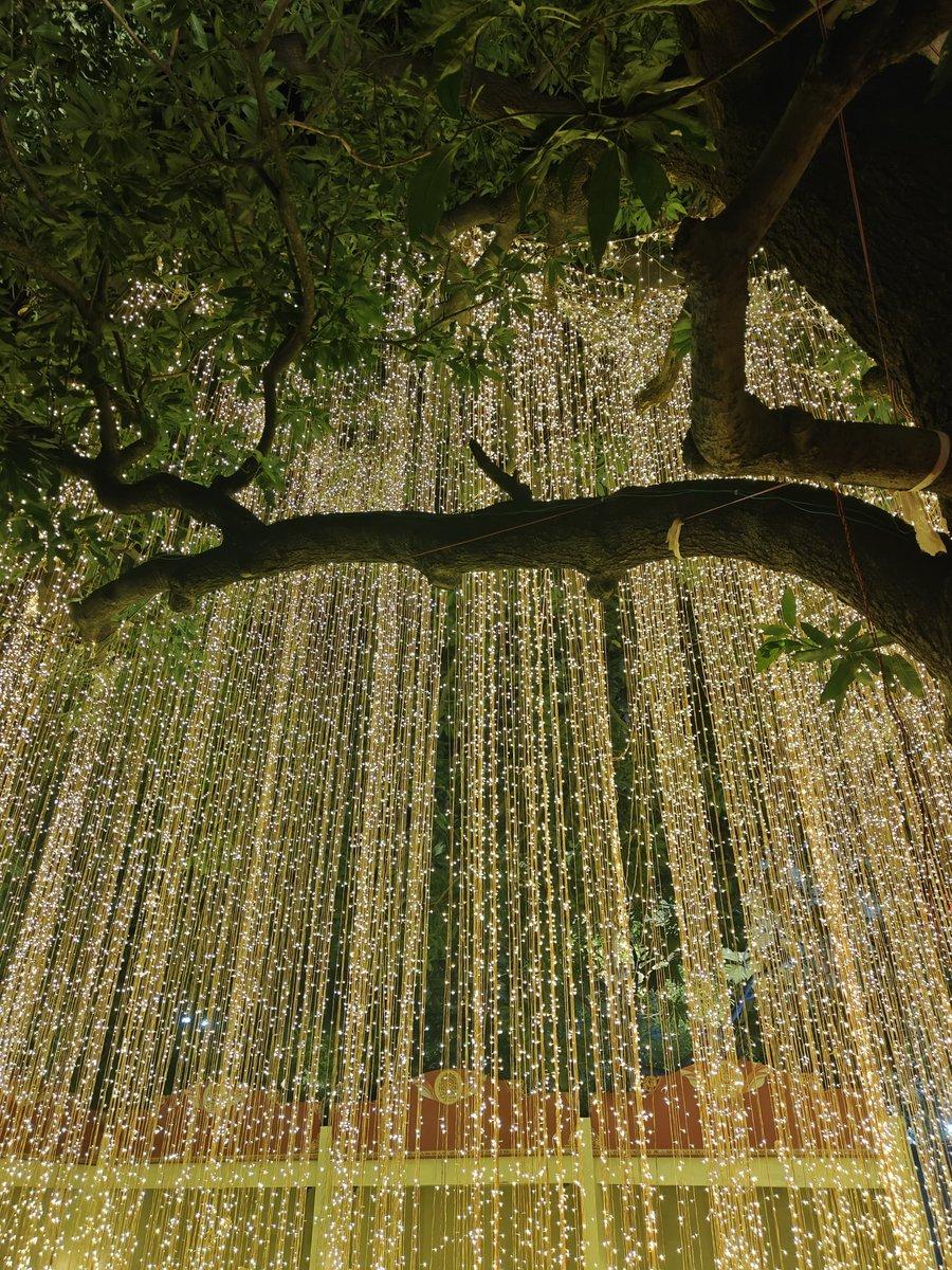 Beautifully decorated!❤️