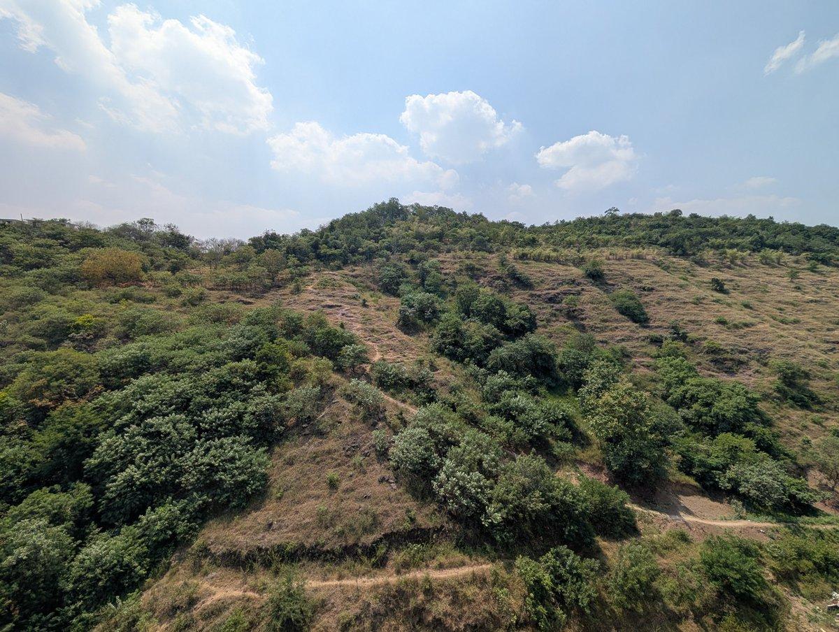 Two images of Baner Hill , one year apart. The temp was a high of 33.1°C (Open-Meteo forecast); +3.7°C warmer than the average since 2022 and +3.9°C since 1980 for the 12th of October! #pune #baner #e