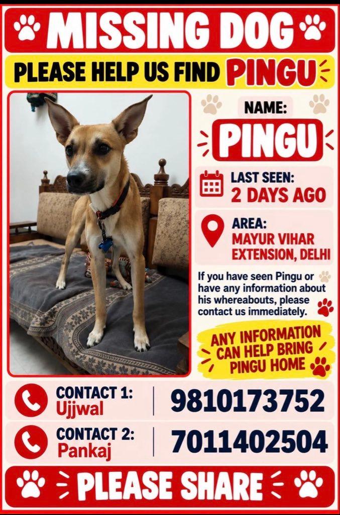 RT by @sushant_says: Lost dog alert! #Delhi