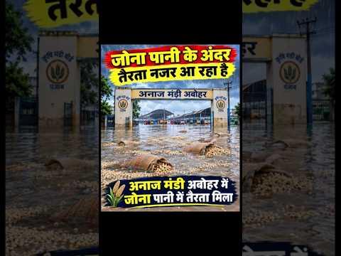 अबोहर में भारी बारिश का कहर, पानी में तैरता दिखा जोना।