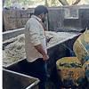 3.6 Tonnes of Kova Seized During Food Safety Raids in Hyderabad