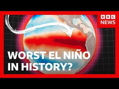 How one of the strongest El Niños became a global disaster | BBC News