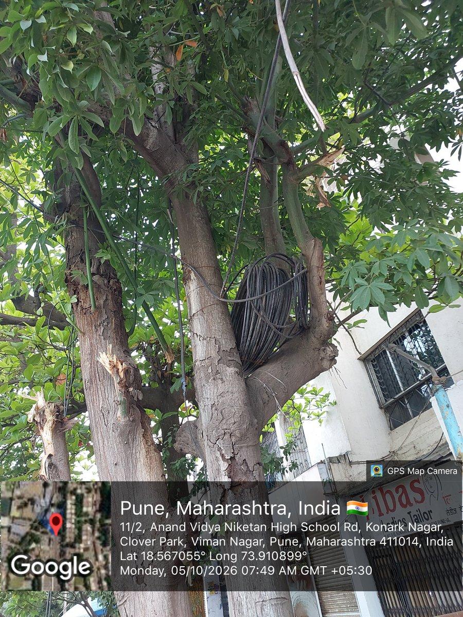 @PMCPune @navalMH can you please remove cables off this . The electrical dept chap has been ignoring complaints for months now. @prajytnair I bet you wouldn't have seen this in Japan.