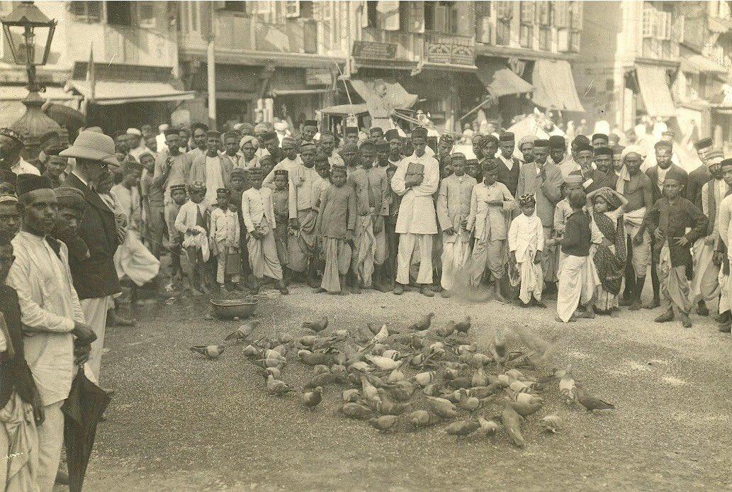 RT by @IndiaArtHistory: Men & children watching a scene of Pigeon feeding in late 1800s or early 1900s. Public Pigeon feeding has recently been banned due to health concerns.